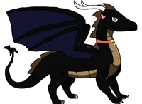 train heartnet AKA the black cat dragon