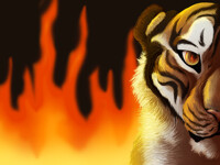 Caught in a forest fire