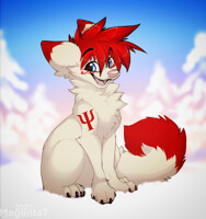 Winter Wolf-fox~