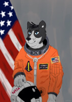 Spacedog