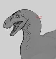 Smile for the Camera
