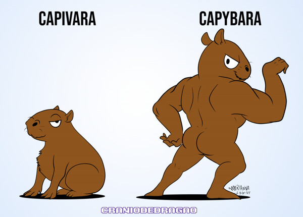 Capivara Samurai ✠ ∞∞ (@fiotedecapivara) / X