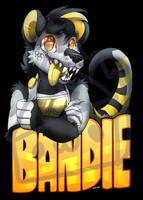 Bandie Badge