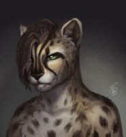 headshot for MikaelGrizzly