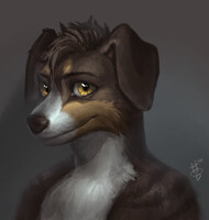 headshot for TarnB