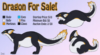 (CLOSED) Character Auction!