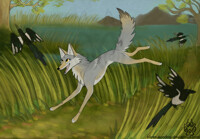 Wolfwalkers / Coyotewalker again!