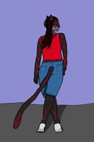 Iza Proportions Study