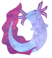 Galaxolotl