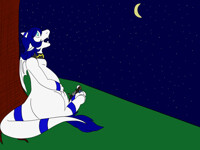 Night Gazing With a Dragon