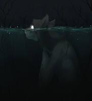 -------------------------------