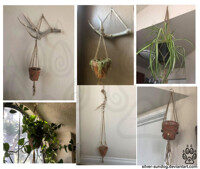 Macrame and antler wall hangings