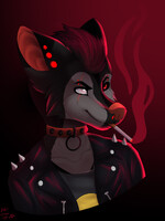 Possum gift