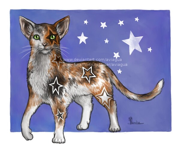 www.furaffinity.net