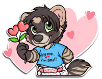 Smol civet