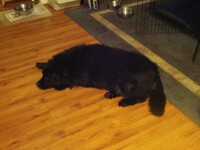 A fuzzy lump