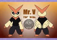 Mr V. Ref