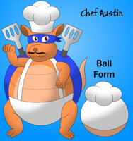 Austin the Armadillo