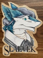 Badge - Slaevek