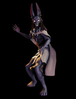 Anubis model