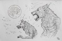 When the moon is full