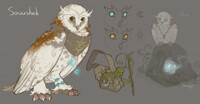 Barn Owl | Sketch ref