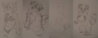 AC sketchtrades