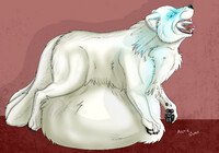 Arctic Pudge