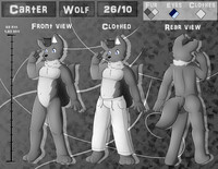 Carter's Ref sheet ~