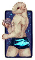 Cavy-Bara