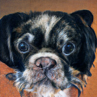 Painting of Rosie