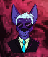 ENIGMA IS ONLINE