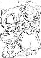 Sonic the lady meets amy
