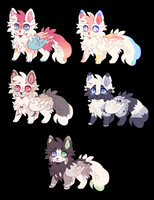 ADOPT (OPEN)