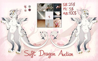 Soft dragon auction CLOSED