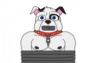 Freddie Burgers Captured