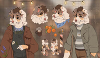 Australian shepherd [AUCTION] - closed
