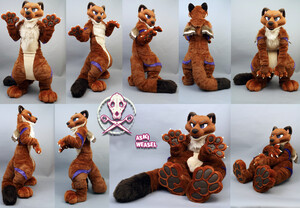 Fursuit Watersports