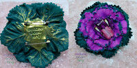 Ornamental Cabbage Bloomfang