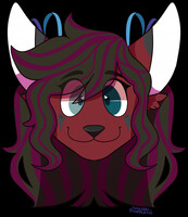 Savii Headshot