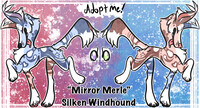 Mirror Merle adopt (sold!)