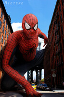 Big Hero on the Big City