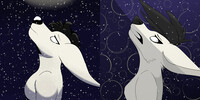 Kanga redraw