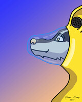 Helmet Glass Animation