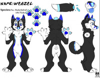 Final Ref Revision