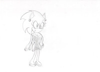 Sonic the Lady