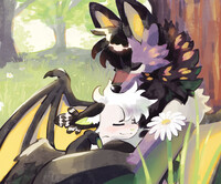 comfort