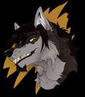 Mason - headshot