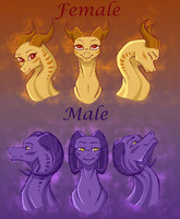 Second style. Portrait (Male, Female)