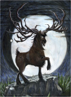 Frosty Horse Deer of the North